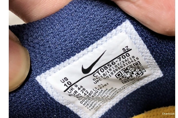 CT0856-700 Nike Michigan Dunk O-W Low 0203